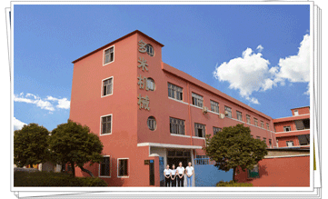 多米機械:改變世界新動力，革新行業新格局